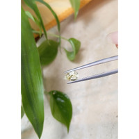 1.46 Ct. Yellow Sapphire from Ceylon (Sri Lanka) Life Style