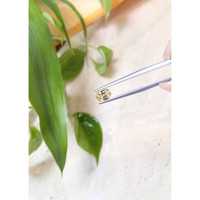 1.15 Ct. Yellow Sapphire from Ceylon (Sri Lanka) Life Style