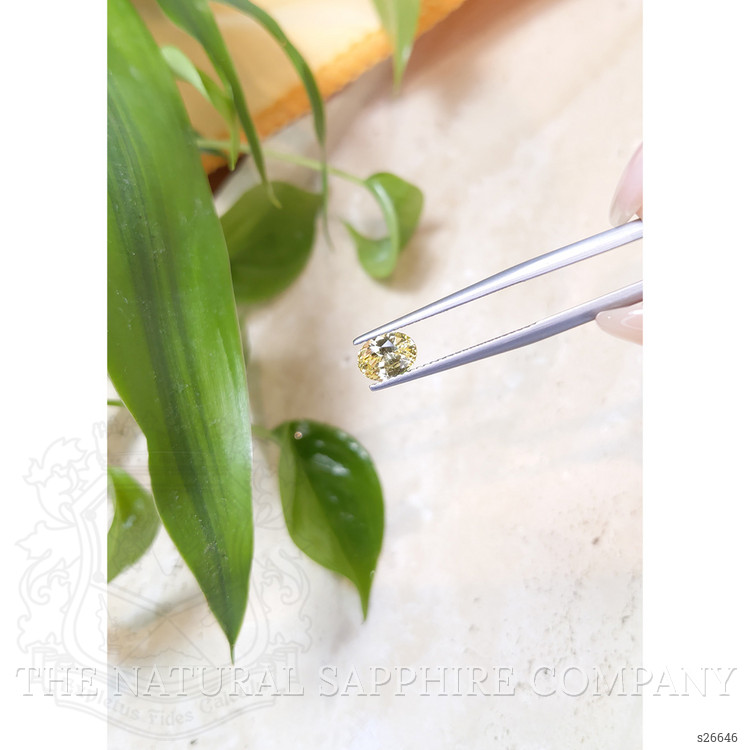 1.15 Ct. Yellow Sapphire from Ceylon (Sri Lanka)