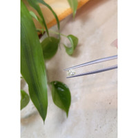 0.70 Ct. Yellow Sapphire from Ceylon (Sri Lanka) Life Style