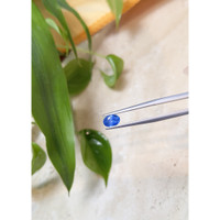 0.82 Ct. Blue Sapphire from Ceylon (Sri Lanka) Life Style