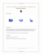 0.72 Ct. Blue Sapphire from Ceylon (Sri Lanka) Appraisal