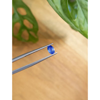 0.72 Ct. Blue Sapphire from Ceylon (Sri Lanka) Life Style