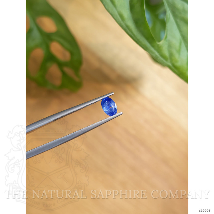 0.72 Ct. Blue Sapphire from Ceylon (Sri Lanka)