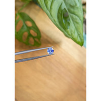 0.80 Ct. Bi Color Sapphire from Ceylon (Sri Lanka) Life Style