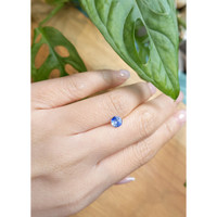 0.80 Ct. Bi Color Sapphire from Ceylon (Sri Lanka) Life Style
