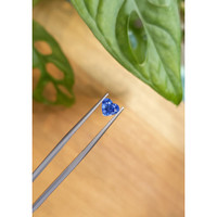 1.10 Ct. Blue Sapphire from Ceylon (Sri Lanka) Life Style