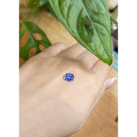 1.55 Ct. Blue Sapphire from Ceylon (Sri Lanka) Life Style