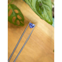 2.00 Ct. Blue Sapphire from Ceylon (Sri Lanka) Life Style