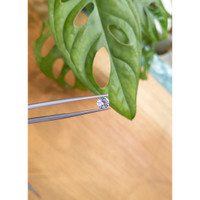 0.75 Ct. Blue Sapphire from Ceylon (Sri Lanka) Life Style