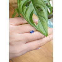 1.00 Ct. Blue Sapphire from Ceylon (Sri Lanka) Life Style