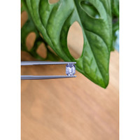 0.69 Ct. Purplish Blue Sapphire from Ceylon (Sri Lanka) Life Style