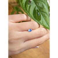0.70 Ct. Blue Sapphire from Ceylon (Sri Lanka) Life Style