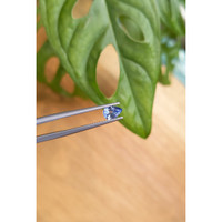 0.55 Ct. Blue Sapphire from Ceylon (Sri Lanka) Life Style