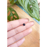 0.85 Ct. Blue Sapphire from Ceylon (Sri Lanka) Life Style