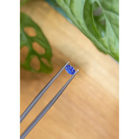 0.35 Ct. Blue Sapphire from Ceylon (Sri Lanka) Life Style