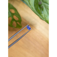 0.35 Ct. Blue Sapphire from Ceylon (Sri Lanka) Life Style
