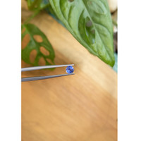0.56 Ct. Blue Sapphire from Ceylon (Sri Lanka) Life Style