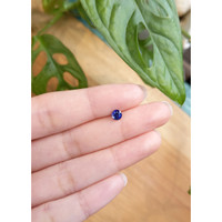 0.63 Ct. Blue Sapphire from Ceylon (Sri Lanka) Life Style
