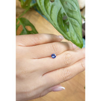 0.69 Ct. Blue Sapphire from Ceylon (Sri Lanka) Life Style