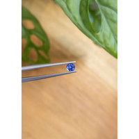 0.37 Ct. Blue Sapphire from Ceylon (Sri Lanka) Life Style