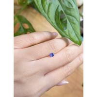 0.41 Ct. Blue Sapphire from Ceylon (Sri Lanka) Life Style