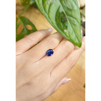 2.20 Ct. Blue Sapphire from Ceylon (Sri Lanka) Life Style