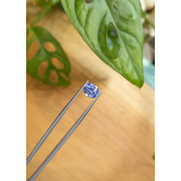 2.05 Ct. Blue Sapphire from Ceylon (Sri Lanka) Life Style