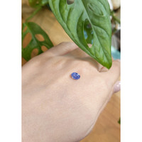 1.00 Ct. Blue Sapphire from Ceylon (Sri Lanka) Life Style