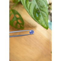 1.00 Ct. Blue Sapphire from Ceylon (Sri Lanka) Life Style