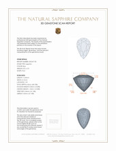 Jewelry 3 D Scan Report