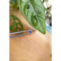 0.33 Ct. Blue Sapphire from Ceylon (Sri Lanka) Life Style