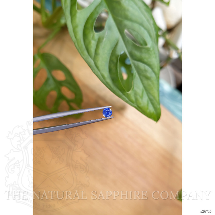 0.33 Ct. Blue Sapphire from Ceylon (Sri Lanka)