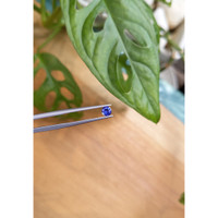 0.36 Ct. Purplish Blue Sapphire from Ceylon (Sri Lanka) Life Style