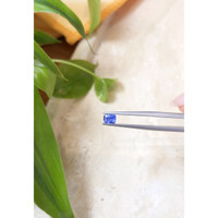 0.51 Ct. Blue Sapphire from Ceylon (Sri Lanka) Life Style