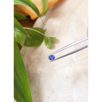 0.57 Ct. Blue Sapphire from Ceylon (Sri Lanka) Life Style