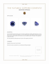 0.40 Ct. Purplish Blue Sapphire from Ceylon (Sri Lanka) Appraisal