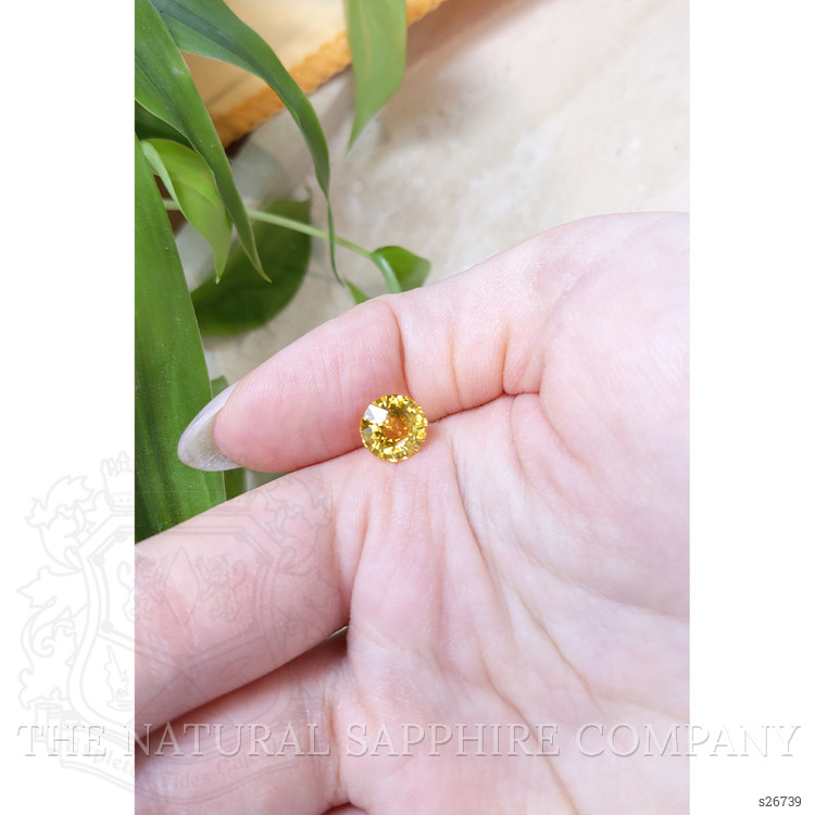 3.03 Ct. Yellow Sapphire from Ceylon (Sri Lanka)
