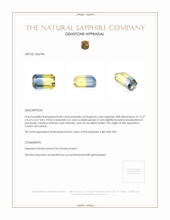 8.60 Ct. Bi Color Sapphire from Ceylon (Sri Lanka) Appraisal