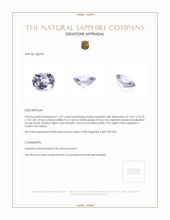 11.07 Ct. Purple Sapphire from Ceylon (Sri Lanka) Appraisal