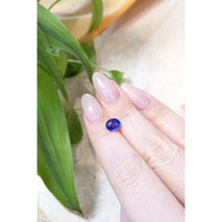 1.64 Ct. Blue Sapphire from Ceylon (Sri Lanka) Life Style