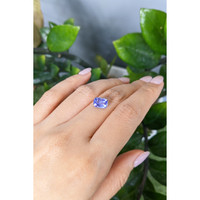 2.50 Ct. Blue Sapphire from Ceylon (Sri Lanka) Life Style