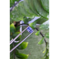 2.50 Ct. Blue Sapphire from Ceylon (Sri Lanka) Life Style
