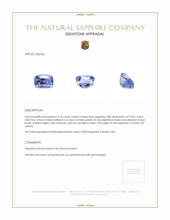 3.18 Ct. Blue Sapphire from Ceylon (Sri Lanka) Appraisal