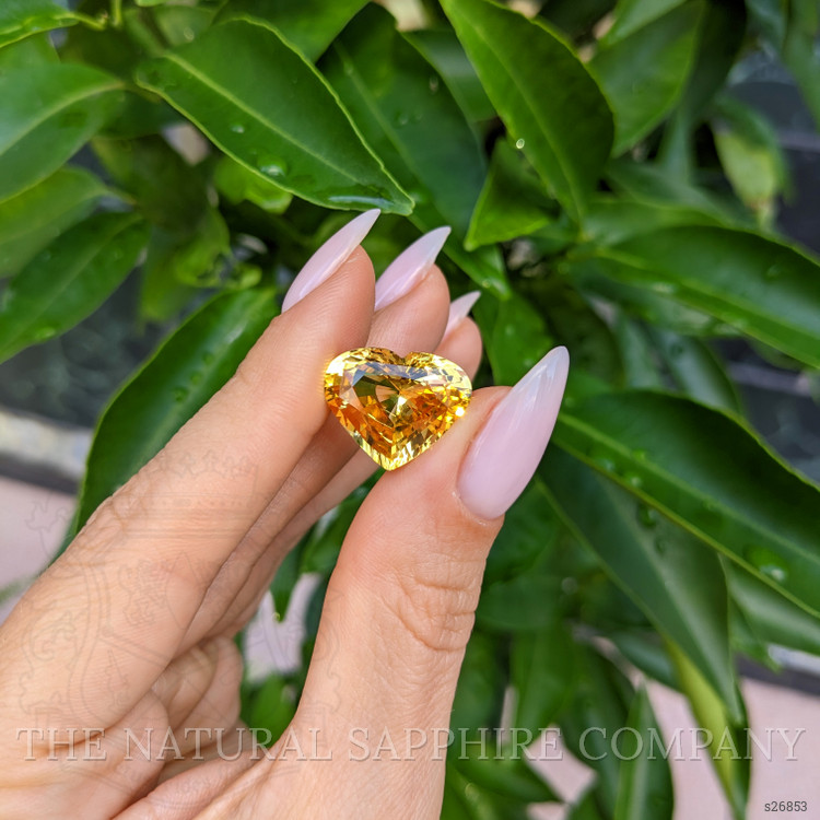 13.34 Ct. Yellow Sapphire from Ceylon (Sri Lanka)
