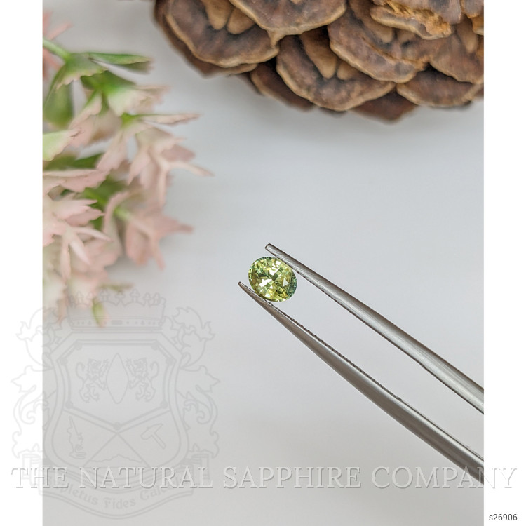 0.52 Ct. Yellowish Green Sapphire from Ceylon (Sri Lanka)