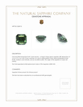 0.87 Ct. Green Sapphire from Ceylon (Sri Lanka) Appraisal