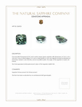 Jewelry Appraisal