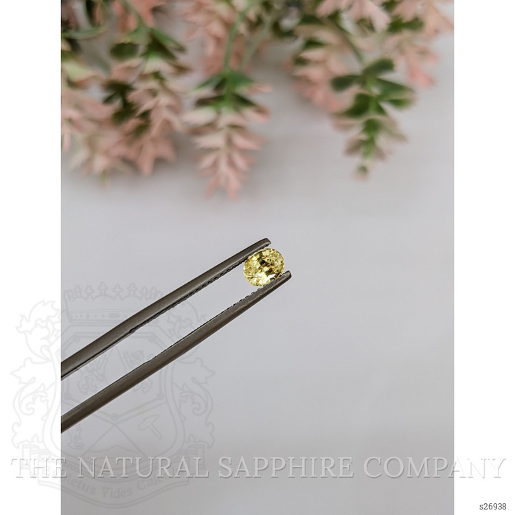 0.55 Ct. Yellow Sapphire from Ceylon (Sri Lanka)