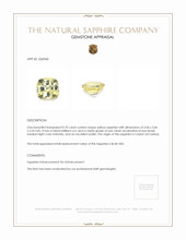 0.70 Ct. Yellow Sapphire from Ceylon (Sri Lanka) Appraisal